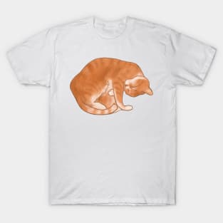 Cute Ginger Cat Cuddles T-Shirt